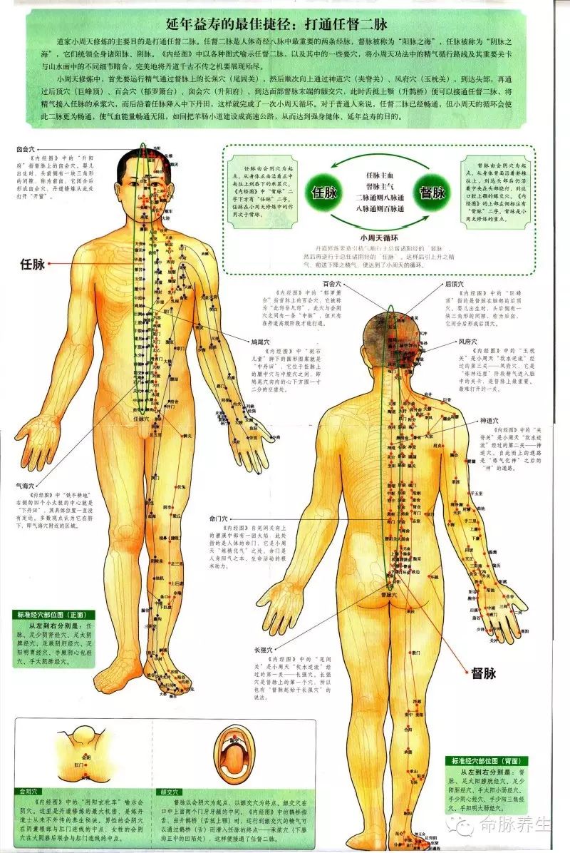 命脉养生系统之——道医系列《逍遥游》大,小周天,伤科秘药