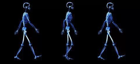 步态分析上曲线怎么解读步态分析的全面介绍_https://www.jmylbn.com_新闻资讯_第4张