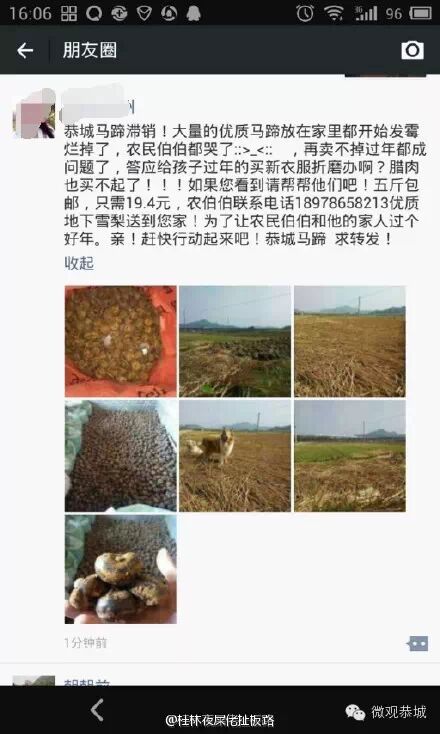 恭城马蹄滞销！求帮忙！745 / 作者:欧耶 / 帖子ID:111556