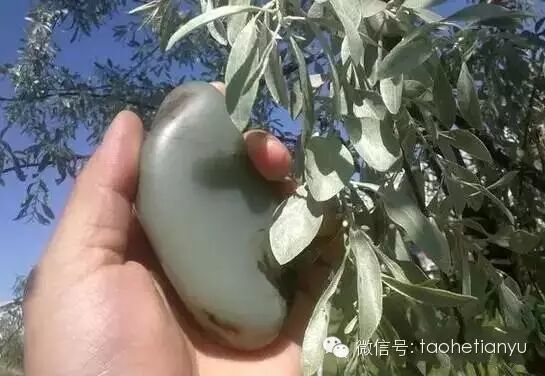 和田玉中的“沙枣青”，你知道多少？