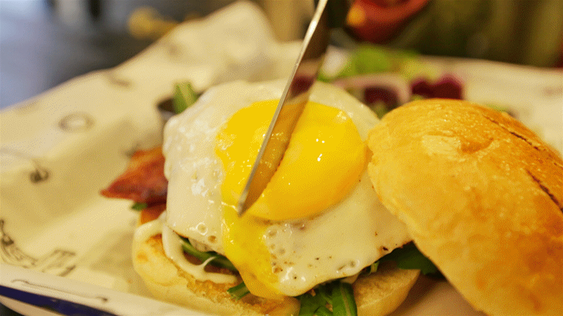 800_450gif 动态图 动图