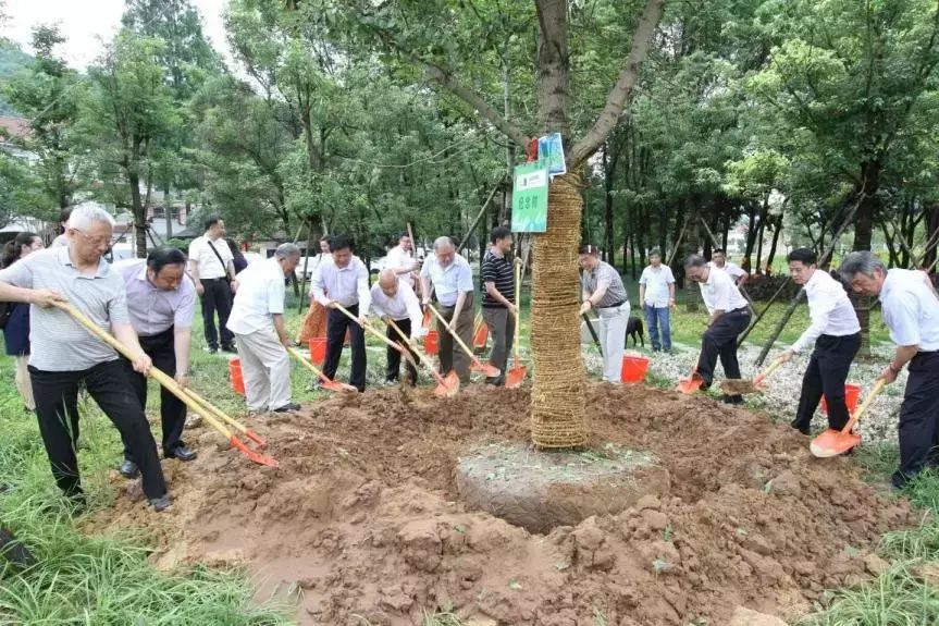 安吉木地板_吉象地板尊木_安吉木軒竹木有限公司