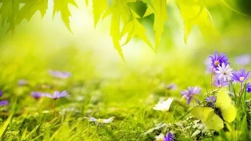 帶上Ta，找尋五月的那份悸動！