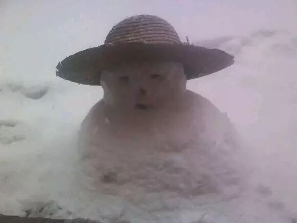 三岁看到老,水木年华李健堆雪人的故事