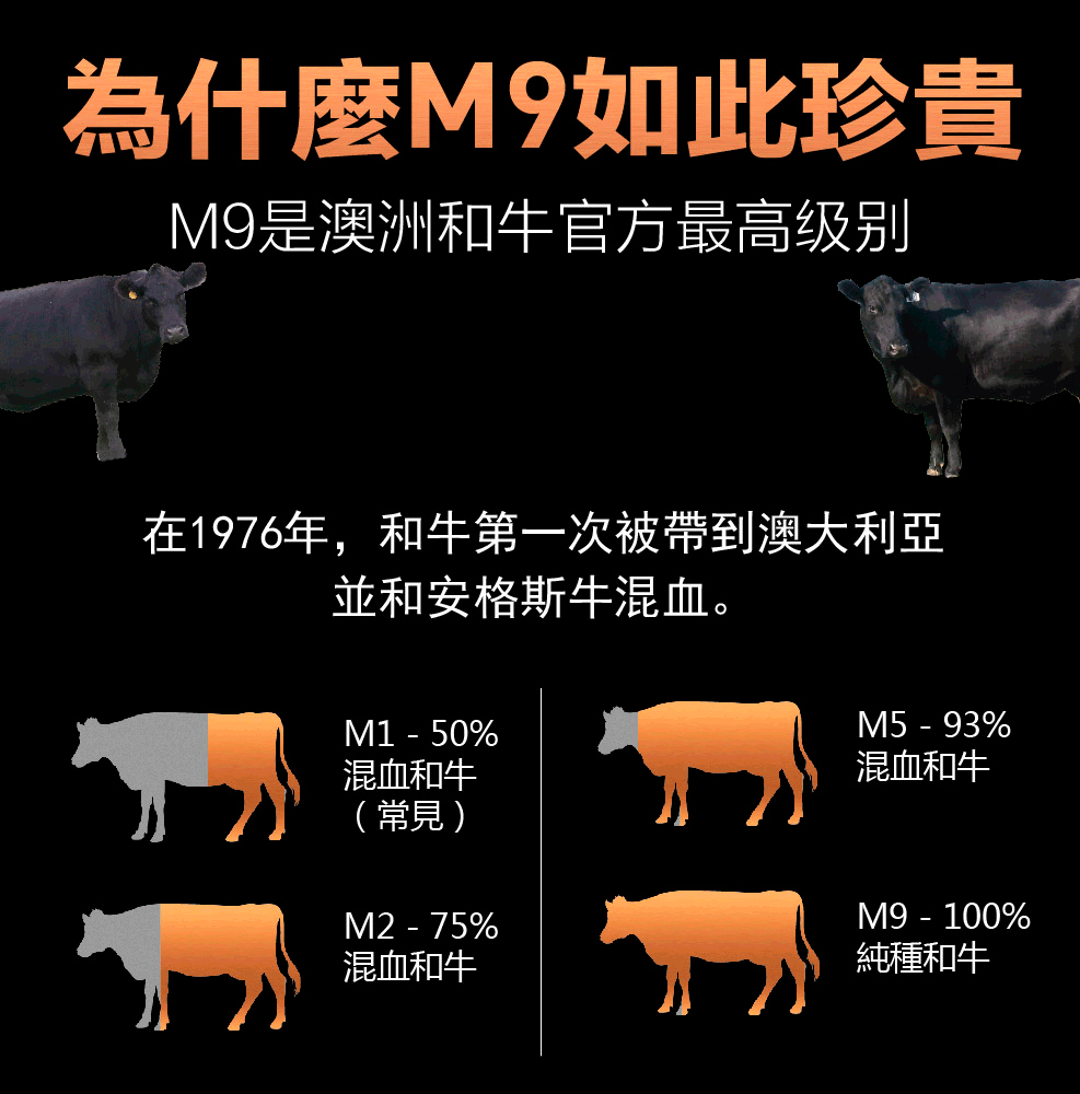 牛的肋条肉在哪个部位_牛部位肉肋条是哪个部位_牛肋条肉是牛的哪个部位