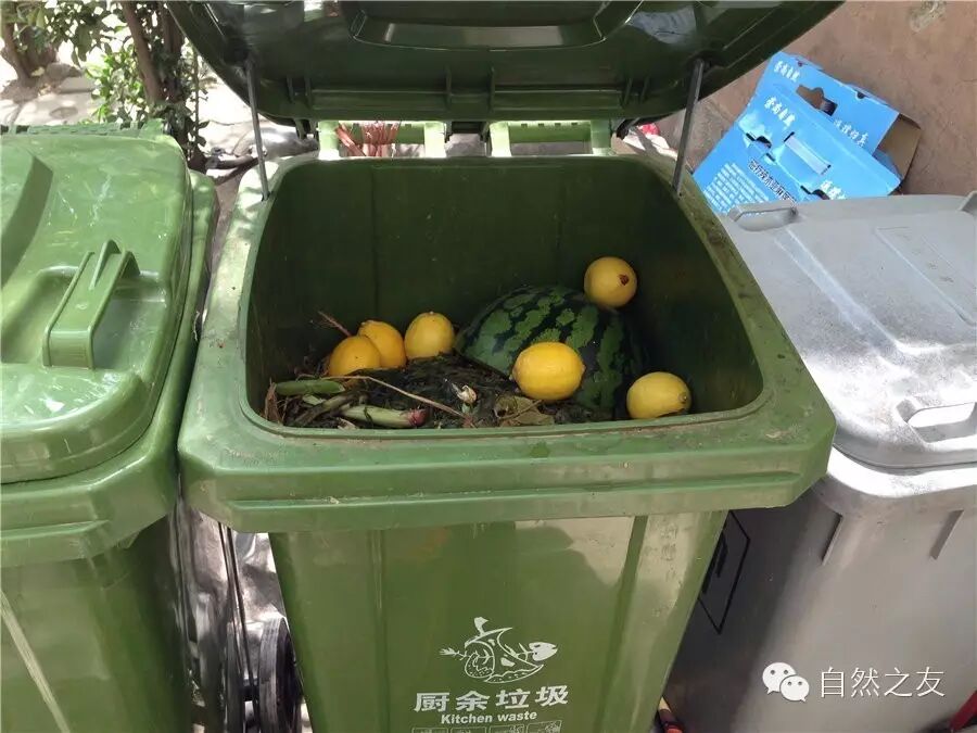 电梯种类_商场电梯种类_电梯种类与图片