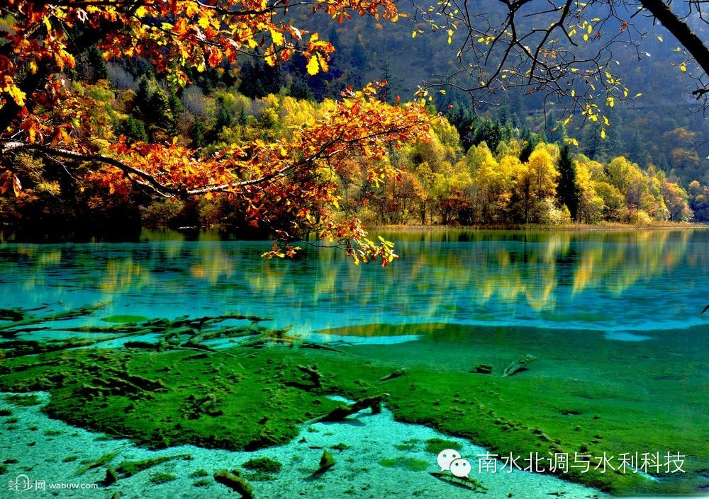 点此在新窗口浏览图片