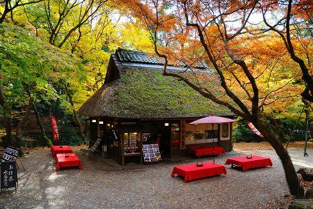 为什么喝茶的圈子比喝酒的圈子富裕?778 / 作者:和平街林广 / 帖子ID:112807 为什么喝茶的圈子比喝酒的圈子富裕?778 / 作者:和平街林广 / 帖子ID:112807