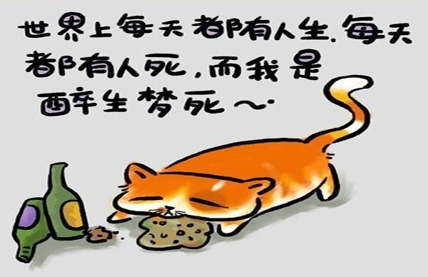 趣味漫画:人生歪理,歪得很有道理