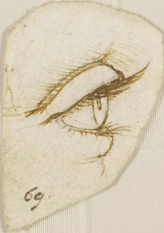 达芬奇做解剖，是为了寻找灵魂！