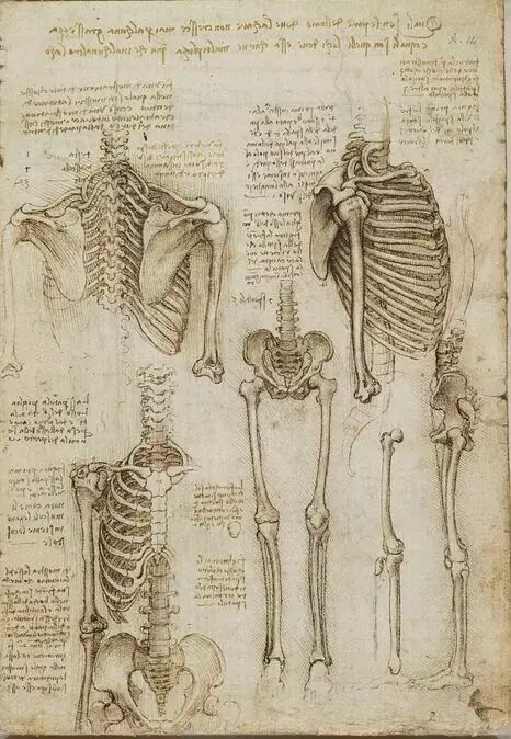 达芬奇做解剖，是为了寻找灵魂！