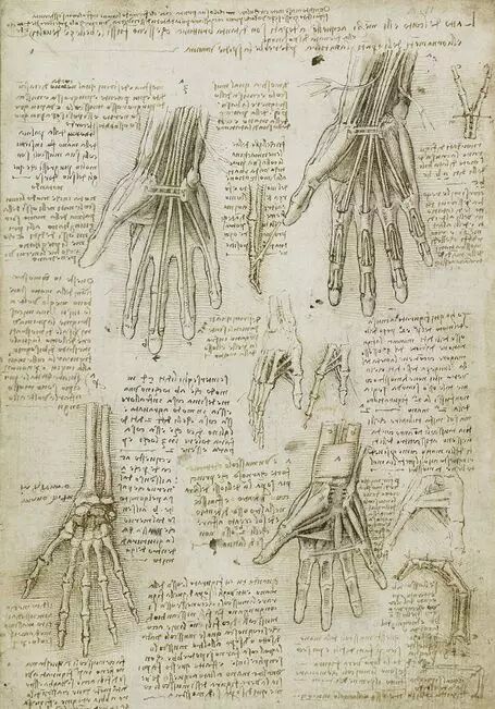 达芬奇做解剖，是为了寻找灵魂！