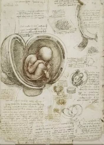 达芬奇做解剖，是为了寻找灵魂！