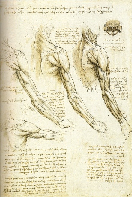 达芬奇做解剖，是为了寻找灵魂！