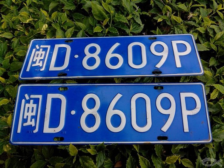 登录查看大图