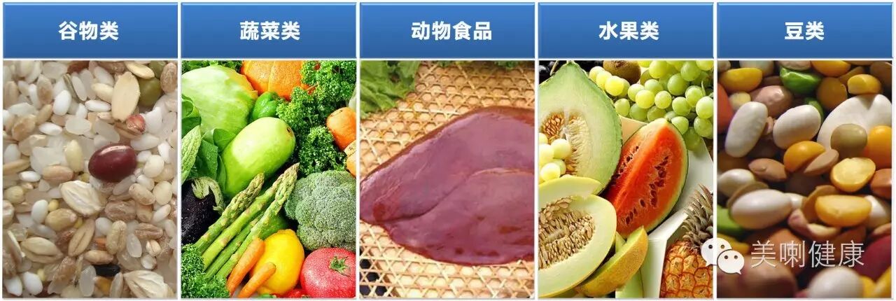 【怀孕周期解析】妊娠第二个月妈咪和宝宝的变化!-怀孕期