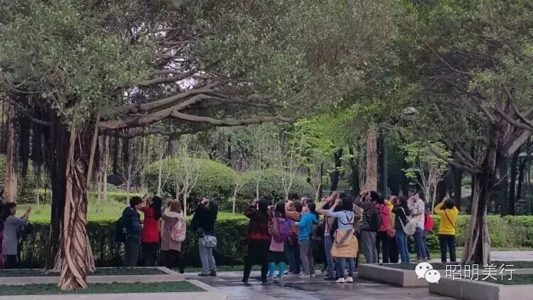 【昭善•美行•明道•启思】  体验观鸟活动,探索学习新...