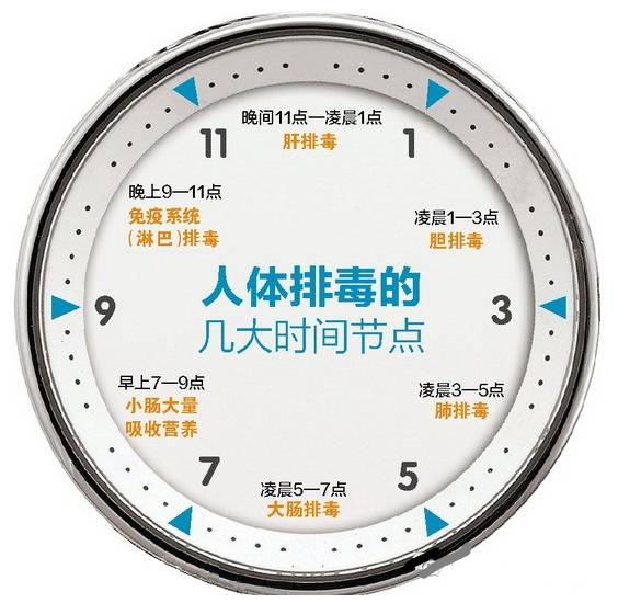 Hasil carian imej untuk 睡觉的生物钟