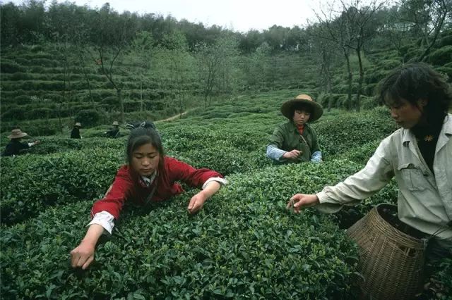 20万张底片 这个日本人记录了80年代中国最全影像