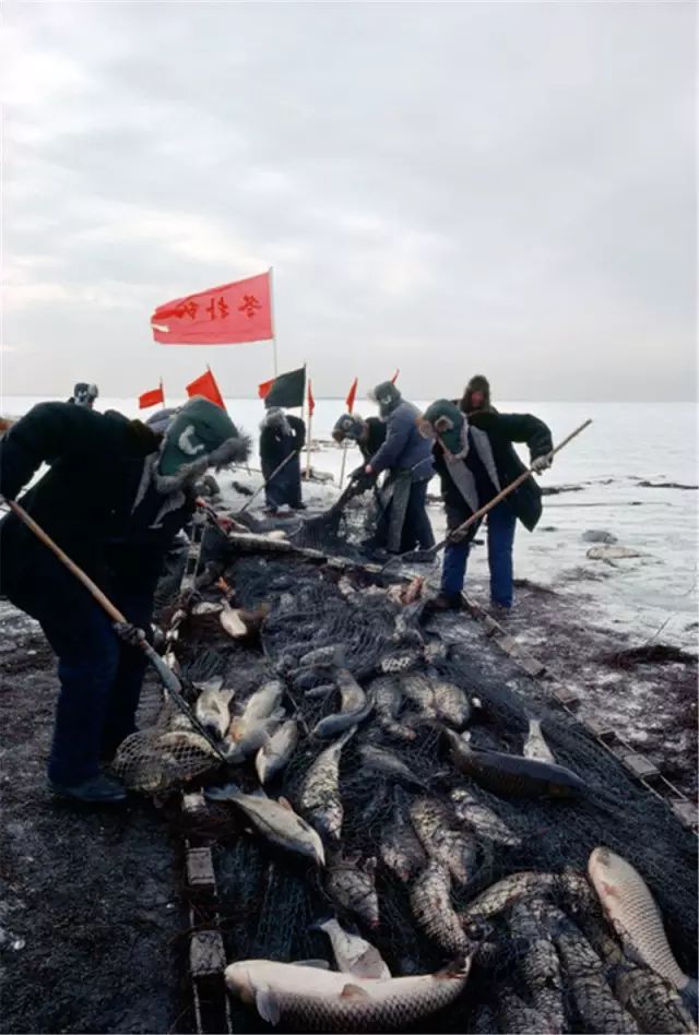 20万张底片 这个日本人记录了80年代中国最全影像