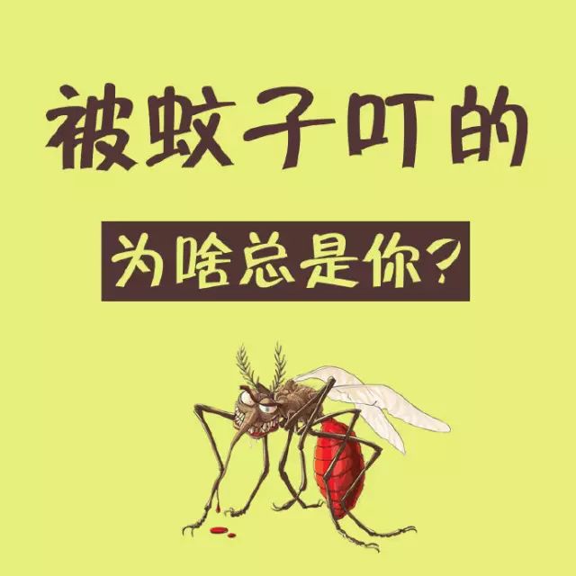 到底啥样的人最招蚊子"喜欢"?驱蚊到底有啥高招儿?
