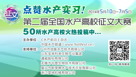 致富经养泥鳅视频播放_致富经泥鳅养殖视频全集_致富经泥鳅