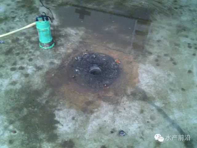 养南美短鲷用什么底沙_养短鲷水混浊_南美短鲷能跟什么鱼养