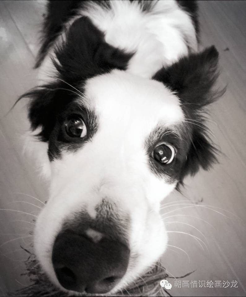 学生油画作品赏析看了眼睛会怀孕-怀孕期