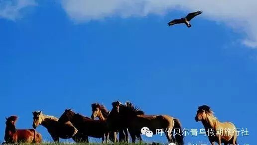 历史上的合答安_合安九环评_合答安