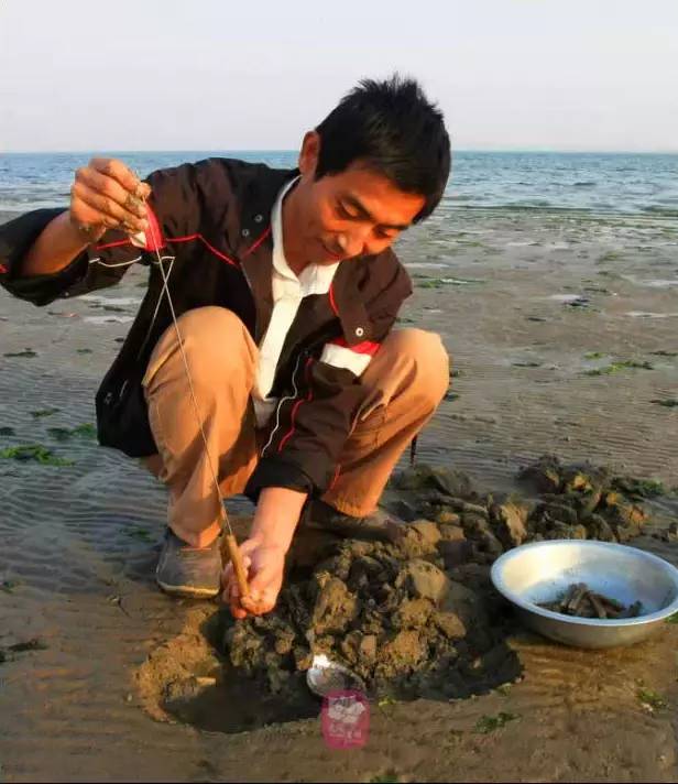 钓蛏子工具    潮水落去,大海滩裸露出来,钓蛏子就在海滩上钓.