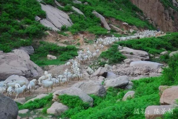 绥中县属于哪个市_宝清属于县还是市_香格里拉属于市还是县