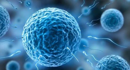 当备孕遇上精子成活率低,小夫妻该怎么办?-怀孕期