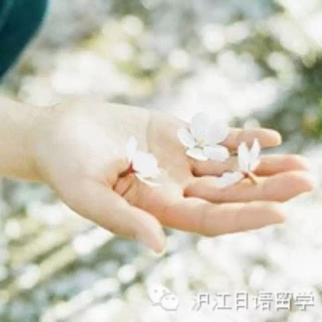 生活中,有哪些有趣的小实验