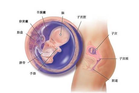 5个月大女婴屁股长了根长尾巴!严重会导致瘫痪!原因竟是妈妈怀孕时……