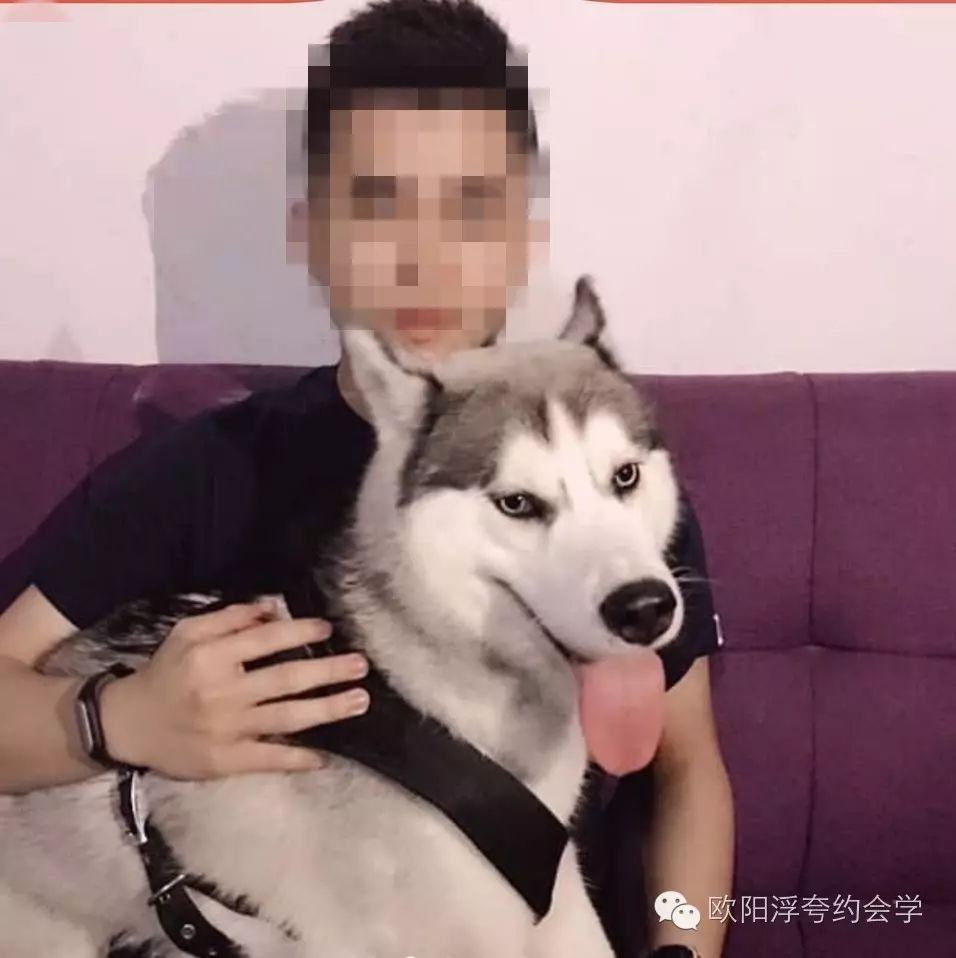 妹子在陌陌和探探上面给她们打招呼的男人超过了100个,你的头像必须要