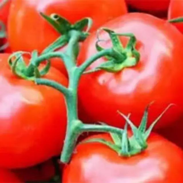 冰箱里不宜存放的10种食物,别说没提醒你 冰箱里不宜存放的10种食物,别说没提醒你