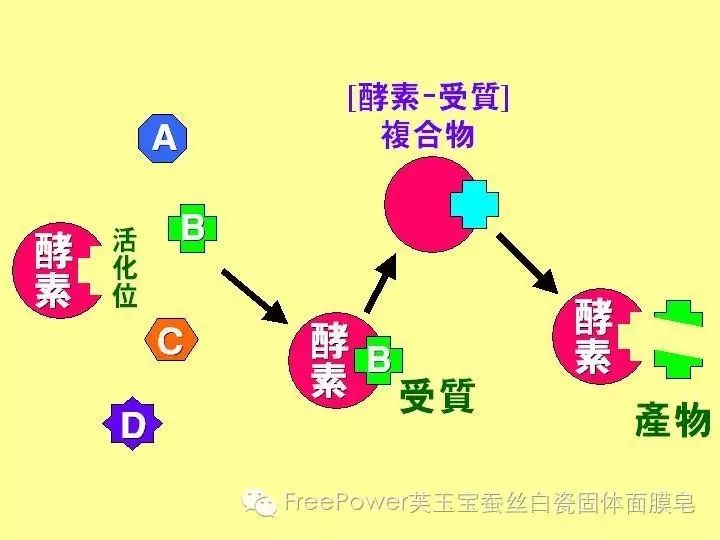 伍佰年酵素官方微信/额外补充酵素会产生依赖性吗?