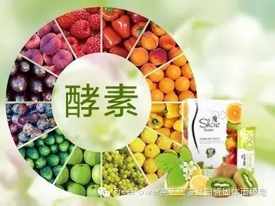 伍佰年酵素公众号/人体的衰老死亡,就是经络不断堵塞—酵...