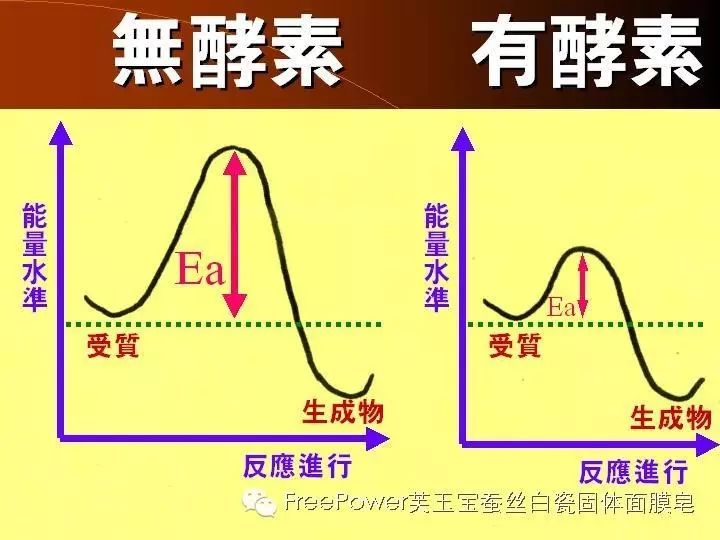 伍佰年酵素怎么样/急需酵素的八类人群 .