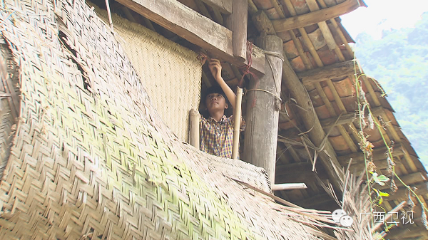 【励志人物故事】朱扬桃：竹席为“墙”风刺骨 扬桃心比黄莲苦