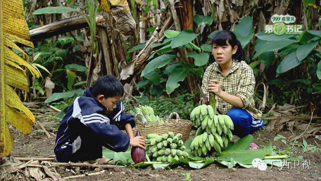 【励志人物故事】李翠玲：借墙搭房 花季少女把家扛
