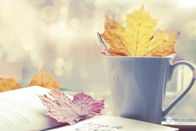 亲戚关系只是一种幻觉