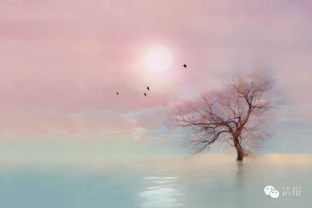 这个世界才不是你看到的那样