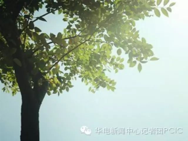 PCIC与你,一场美丽的遇见.