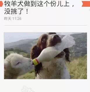 问男朋友的兽性在哪里结果132 / 作者:thkfh / 帖子ID:111727 问男朋友的兽性在哪里结果132 / 作者:thkfh / 帖子ID:111727