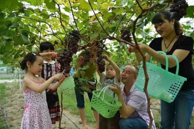 【走进庄园】刷爆柳州朋友圈最火的两个农庄，排队等位，跑再远都值得！