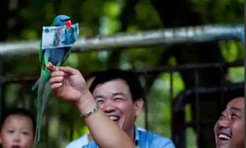 [转载]深圳滑坡幸存者，一语惊醒亿万人！