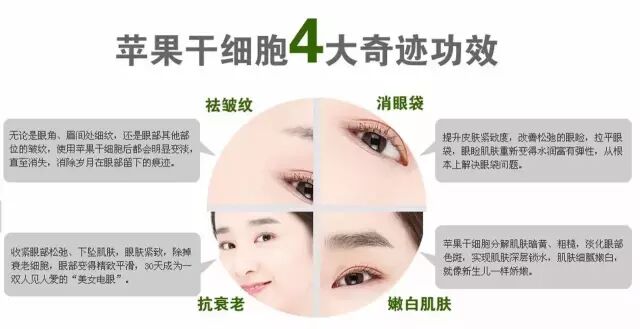 水妍芙 苹果干细胞抗皱精华