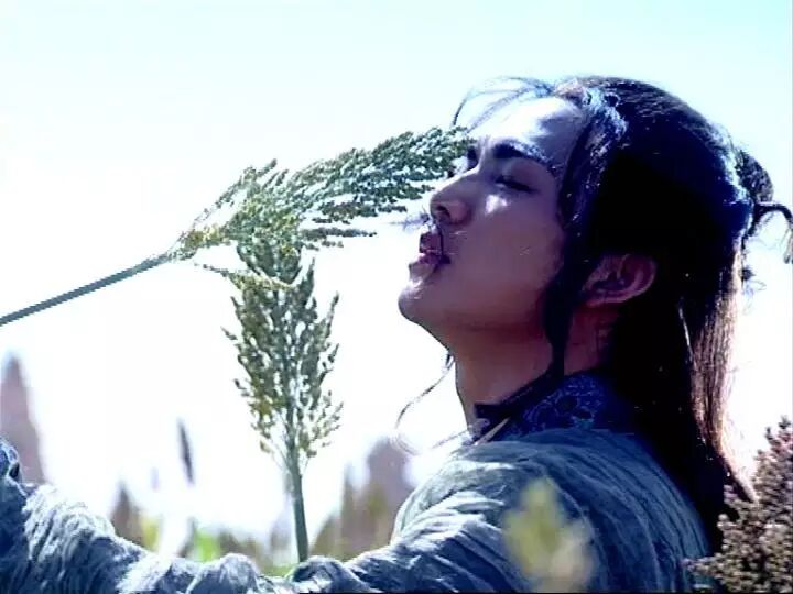 【图片回顾】钟汉良角色之顾惜朝