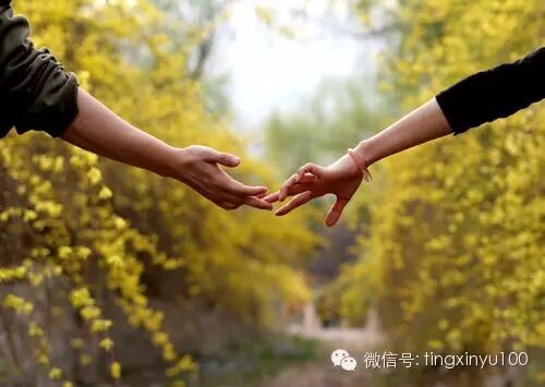 梦语心声，探索婚姻中的爱与理解之谜